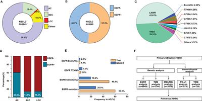 Various Subtypes of EGFR Mutations in Patients With NSCLC Define Genetic, Immunologic Diversity and Possess Different Prognostic Biomarkers